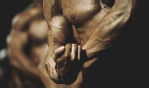 Best Steroids for Mass Gain